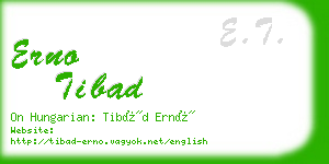 erno tibad business card